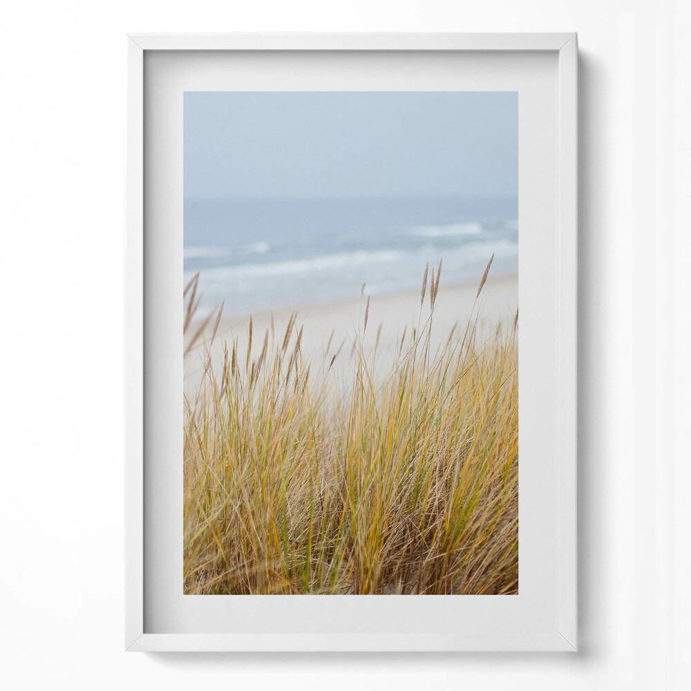 Obraz v rámu dekorativní Krajina přímořské pláže a trávy