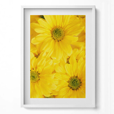 Obraz v rámu dekorativní Okvětní lístky