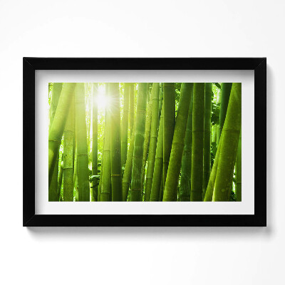 Obraz s rámem dekorativní Zelené bambusové stonky