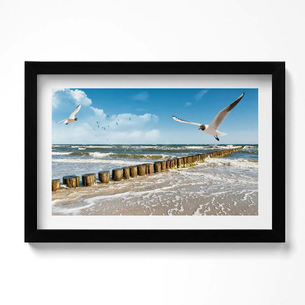 Obraz s rámem dekorativní Pták u moře