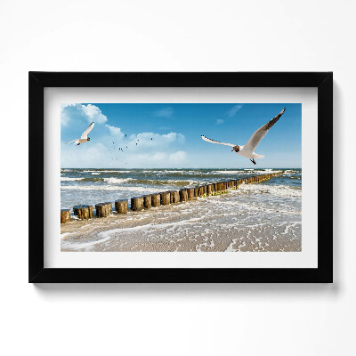 Obraz s rámem dekorativní Pták u moře