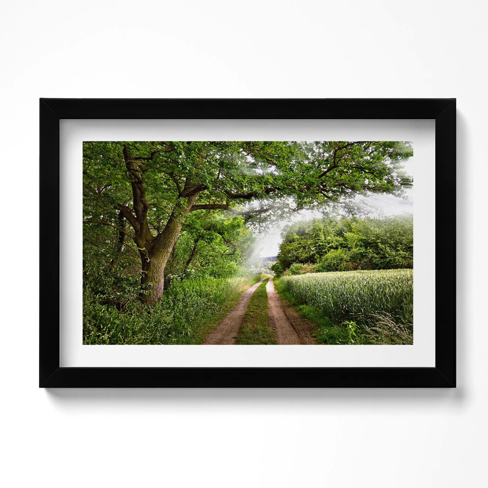 Obraz s rámem dekorativní Cesta, stromy a sluneční paprsky