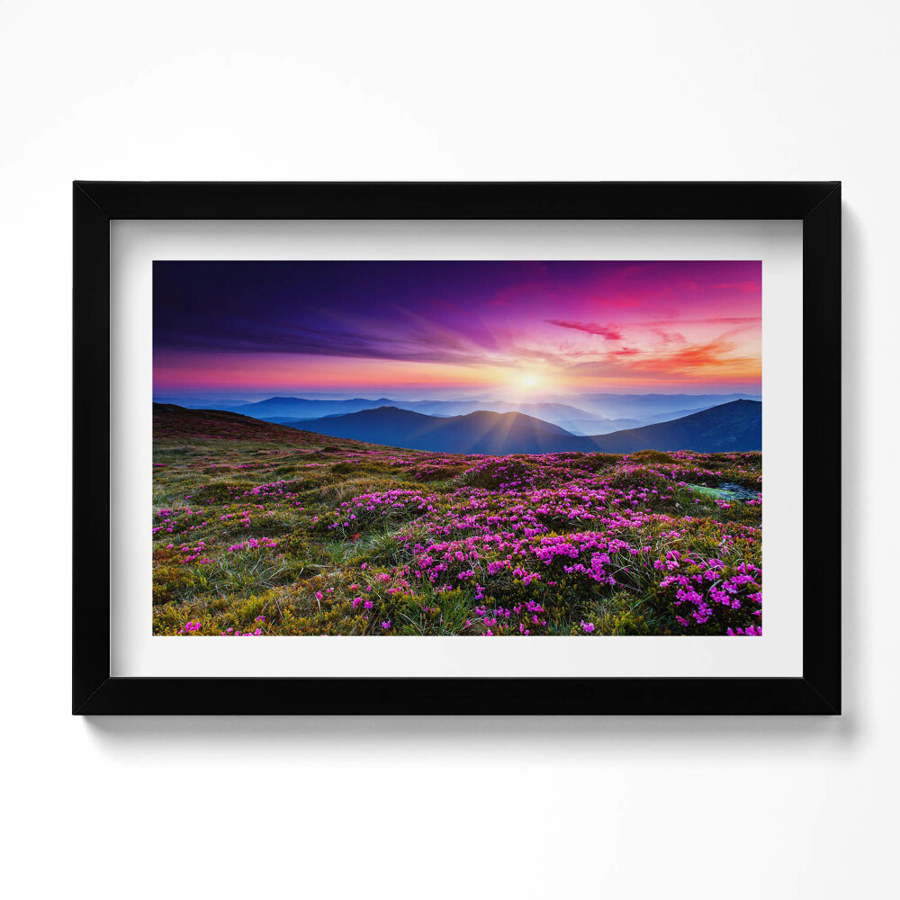 Obraz s rámem dekorativní Východ slunce květiny