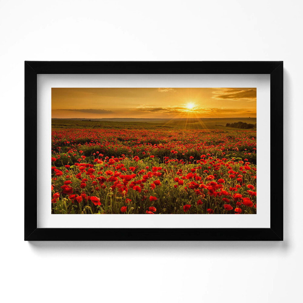 Obraz s rámem dekorativní Krajina louky květů máku
