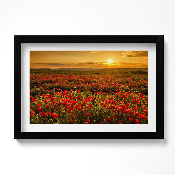Obraz s rámem dekorativní Krajina louky květů máku
