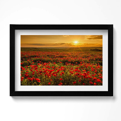 Obraz s rámem dekorativní Krajina louky květů máku