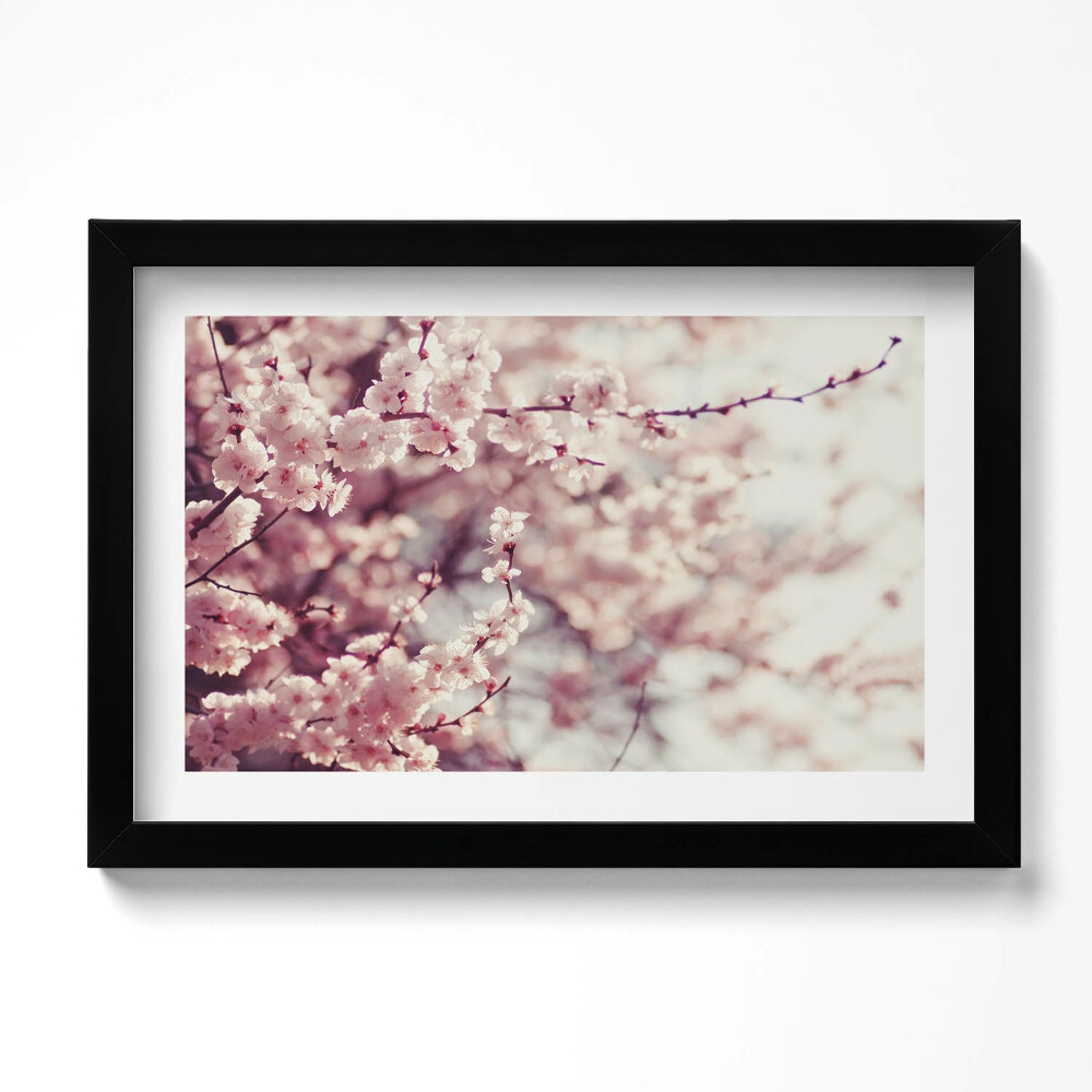 Obraz s rámem dekorativní Kvetoucí jarní květiny