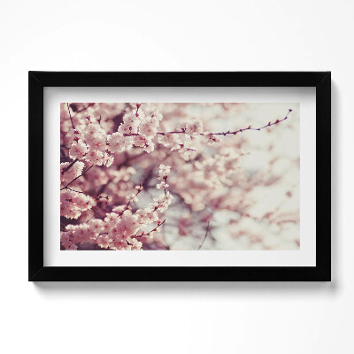 Obraz s rámem dekorativní Kvetoucí jarní květiny