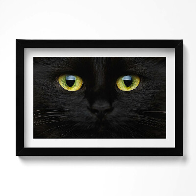 Obraz s rámem dekorativní Zvířecí kočičí oči