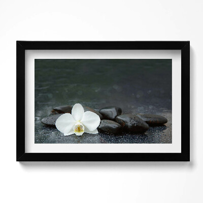 Obraz s rámem dekorativní Bílý květ Zen kameny