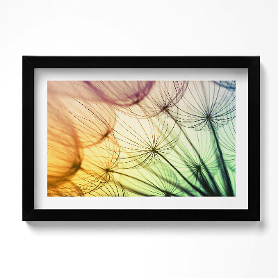 Obraz s rámem dekorativní Jemný pyl pampelišky