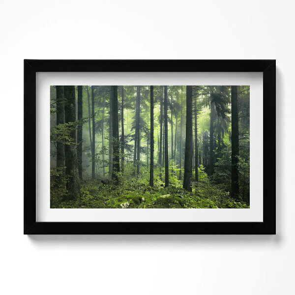 Obraz s rámem dekorativní Krajina stromů a lesní vegetace