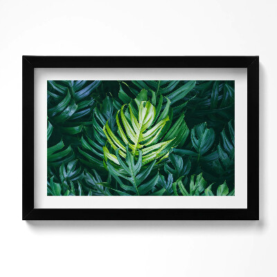 Obraz s rámem dekorativní Tropická příroda - listy monstera