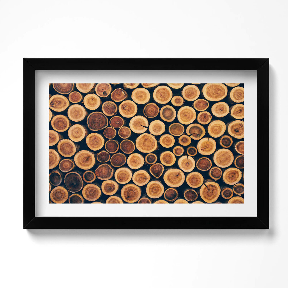 Obraz s rámem dekorativní Dřevo, pařezy