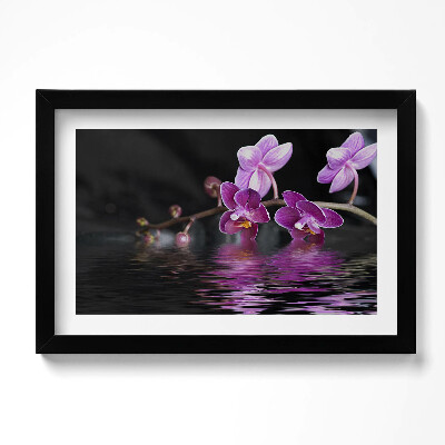 Obraz s rámem dekorativní Růžový květ orchideje na vodě