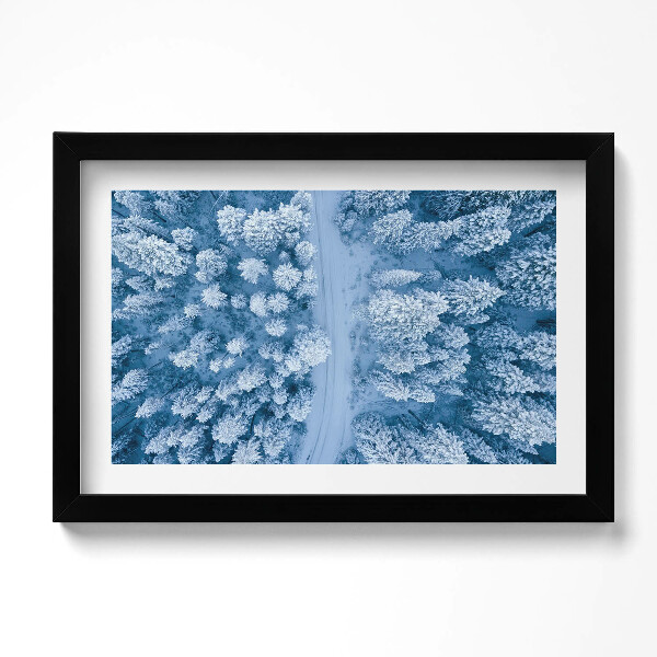 Obraz s rámem dekorativní Les z ptačí perspektivy