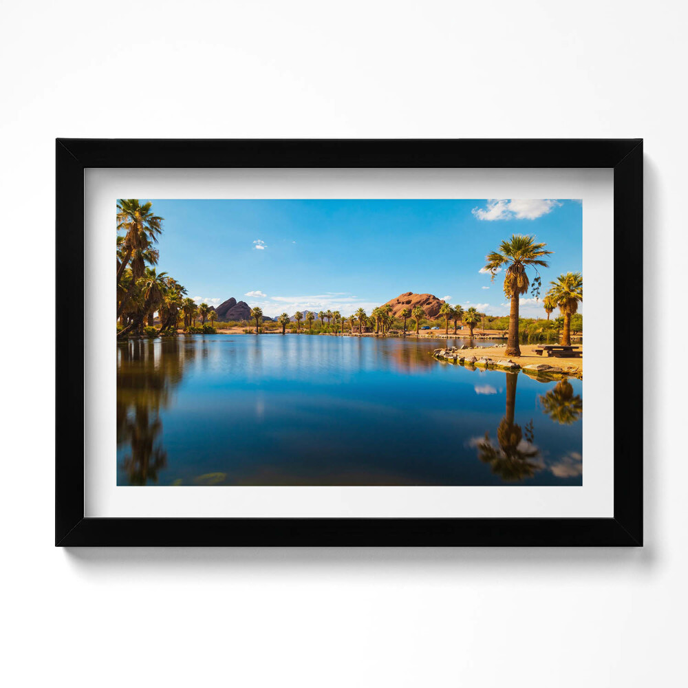 Obraz s rámem dekorativní Krajina parku Papago