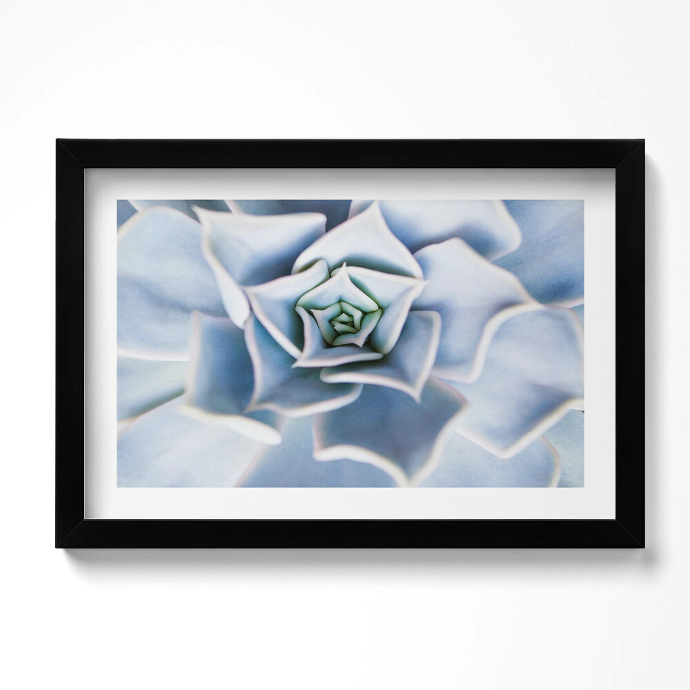 Obraz s rámem dekorativní Květinová rostlina