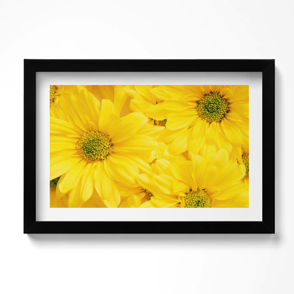 Obraz s rámem dekorativní Okvětní lístky