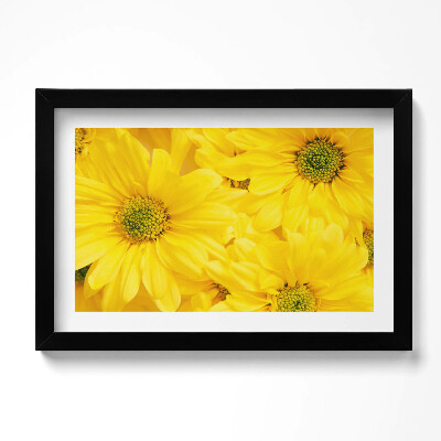 Obraz s rámem dekorativní Okvětní lístky