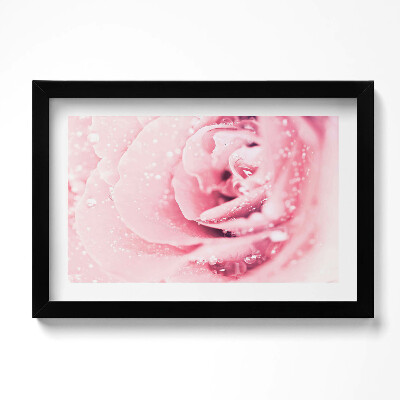 Obraz s rámem dekorativní Kapky rosy a květ růže