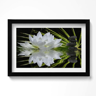 Obraz s rámem dekorativní Leknín a listy