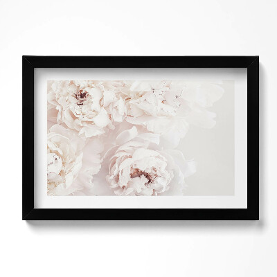 Obraz s rámem dekorativní Pastelové pivoňky