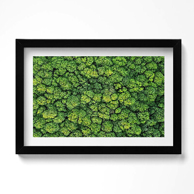 Obraz s rámem dekorativní Přírodní mechová rostlina