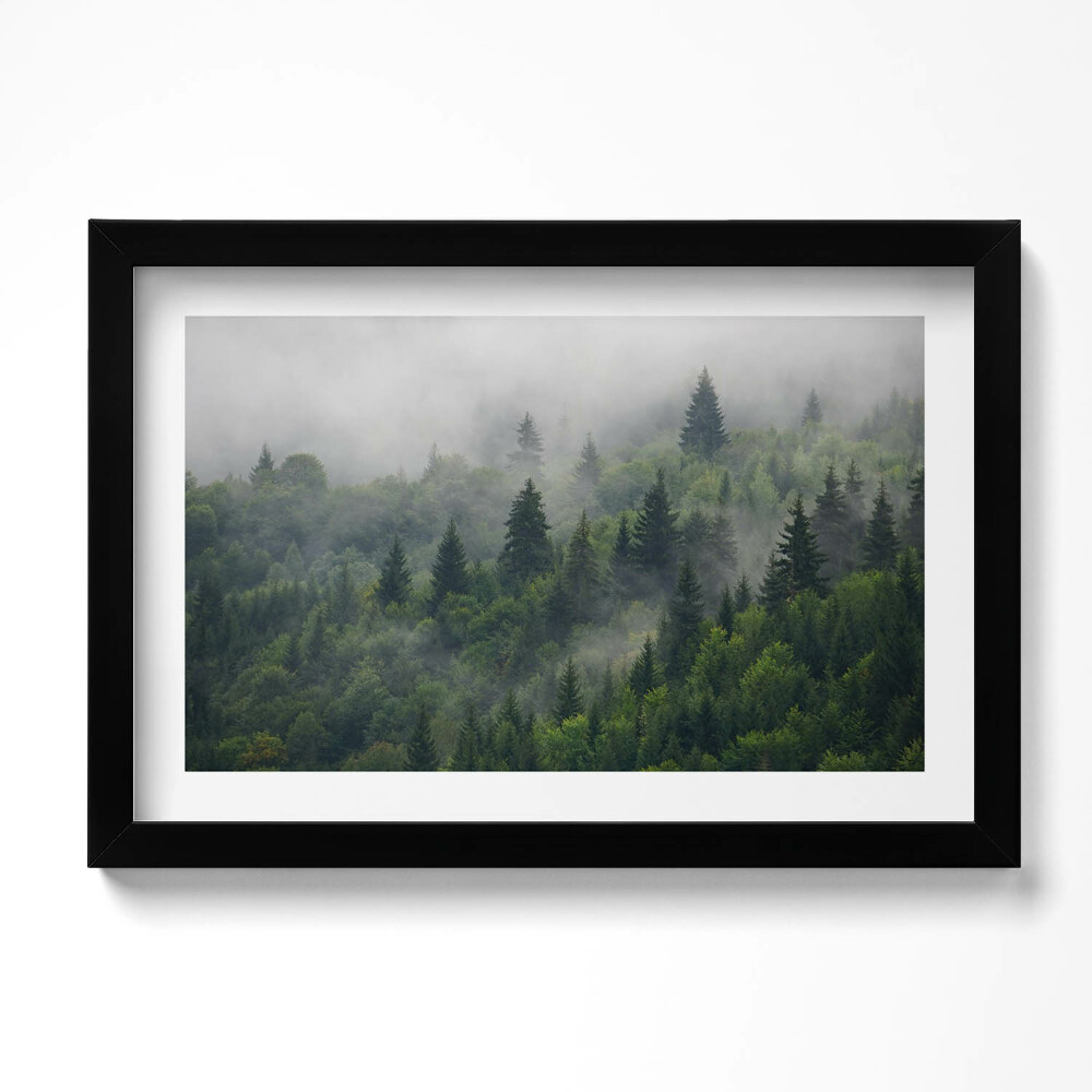 Obraz s rámem dekorativní Lesní krajina v mlze