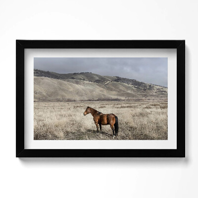 Obraz s rámem dekorativní Oře mezi trávou