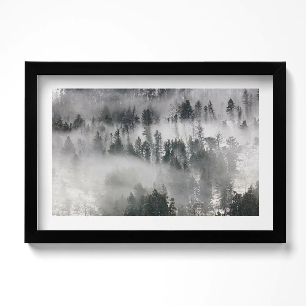 Obraz s rámem dekorativní Zamlžená lesní krajina