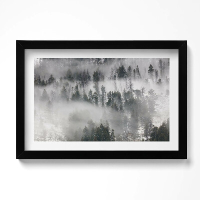 Obraz s rámem dekorativní Zamlžená lesní krajina