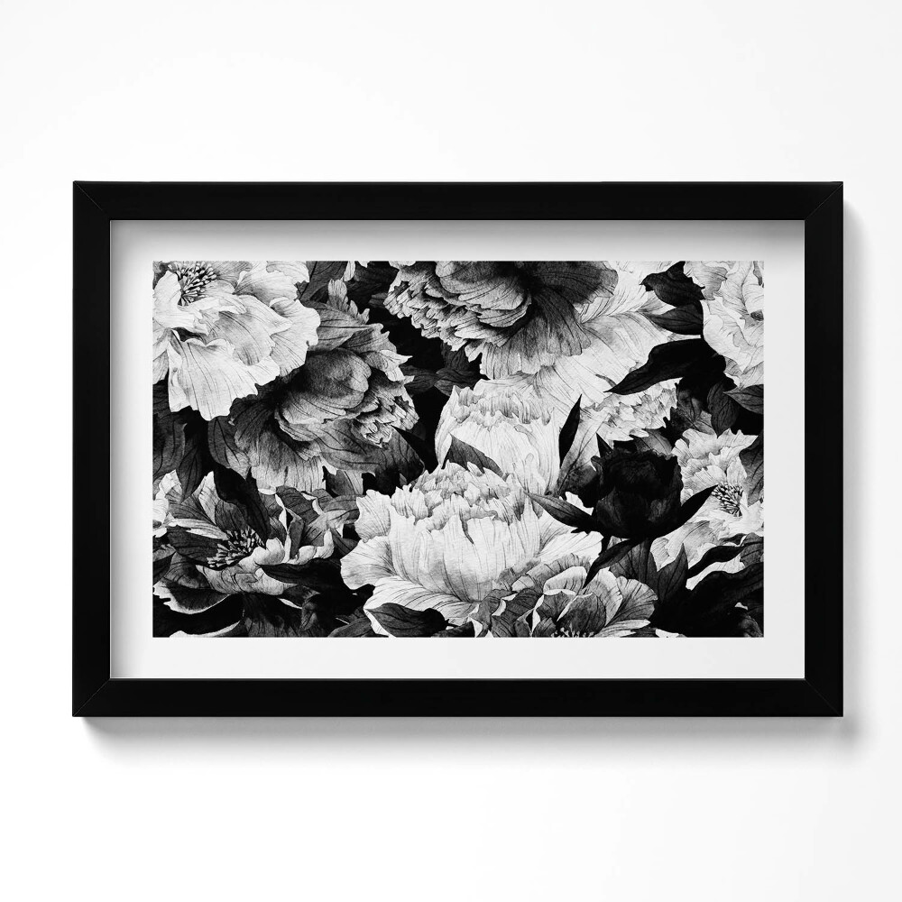 Obraz s rámem dekorativní Černé a bílé květy pivoňky