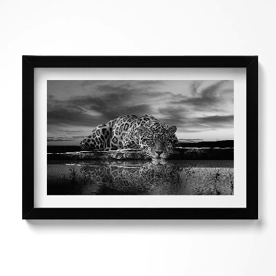 Obraz s rámem dekorativní Černá a bílá leopard divoké zvíře