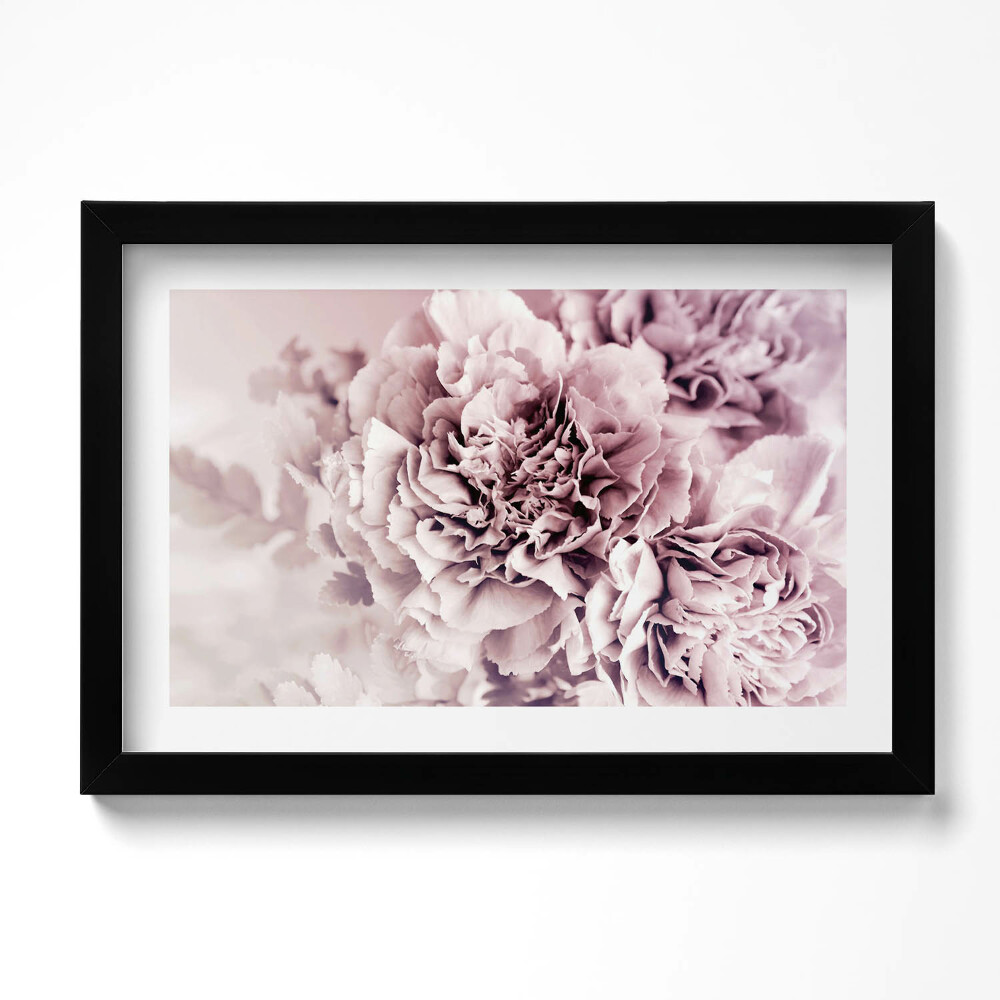 Obraz s rámem dekorativní Světle růžové okvětní lístky pivoněk