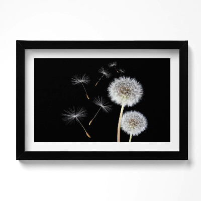 Obraz s rámem dekorativní Dvě pampelišky