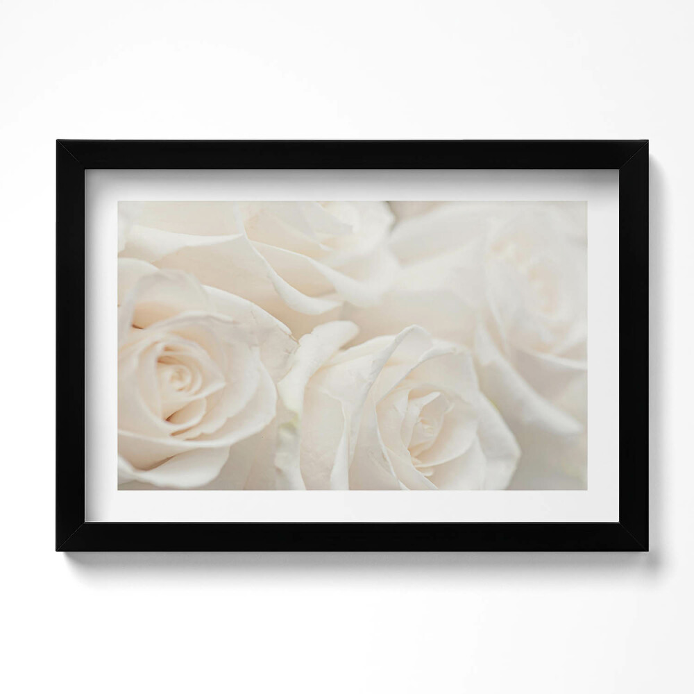 Obraz s rámem dekorativní Bílé jemné různé