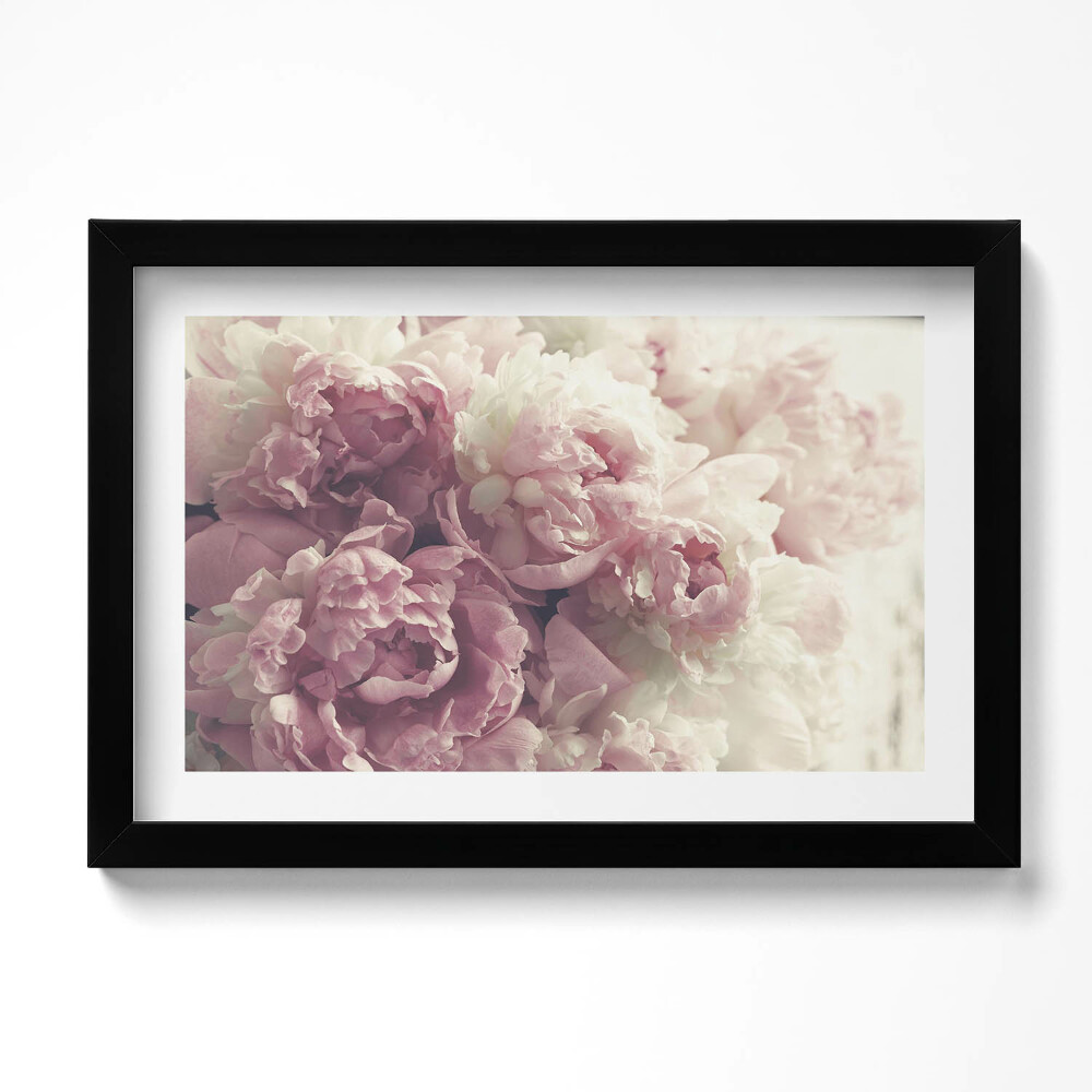 Obraz s rámem dekorativní Jemné květy pivoňky