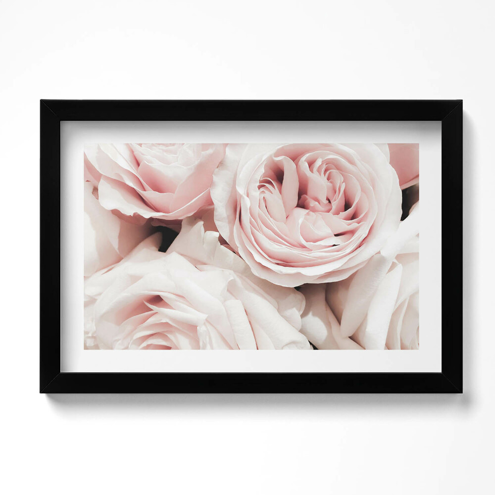 Obraz s rámem dekorativní Světle růžové květy, jemné růže