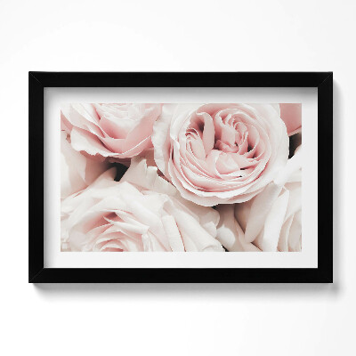 Obraz s rámem dekorativní Světle růžové květy, jemné růže