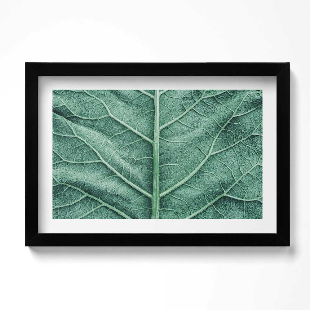 Obraz s rámem dekorativní Detail listových žil