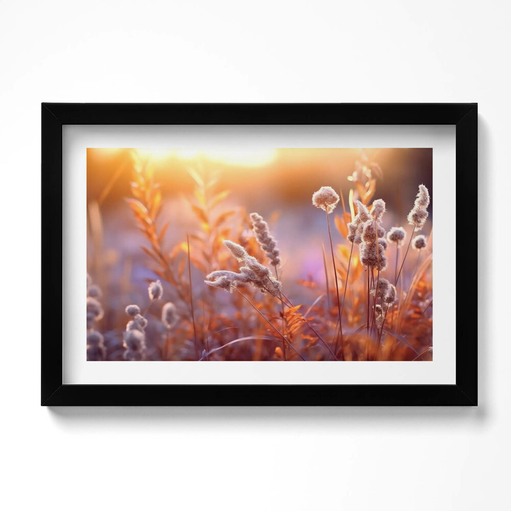 Obraz s rámem dekorativní Boho tráva při východu slunce