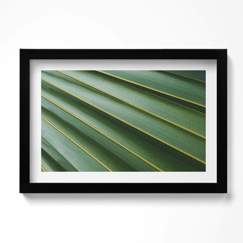 Obraz s rámem dekorativní Zelená rostlina textura