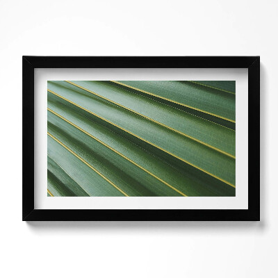 Obraz s rámem dekorativní Zelená rostlina textura