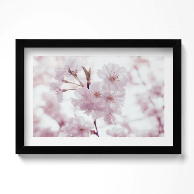 Obraz s rámem dekorativní Jemné světle růžové květy