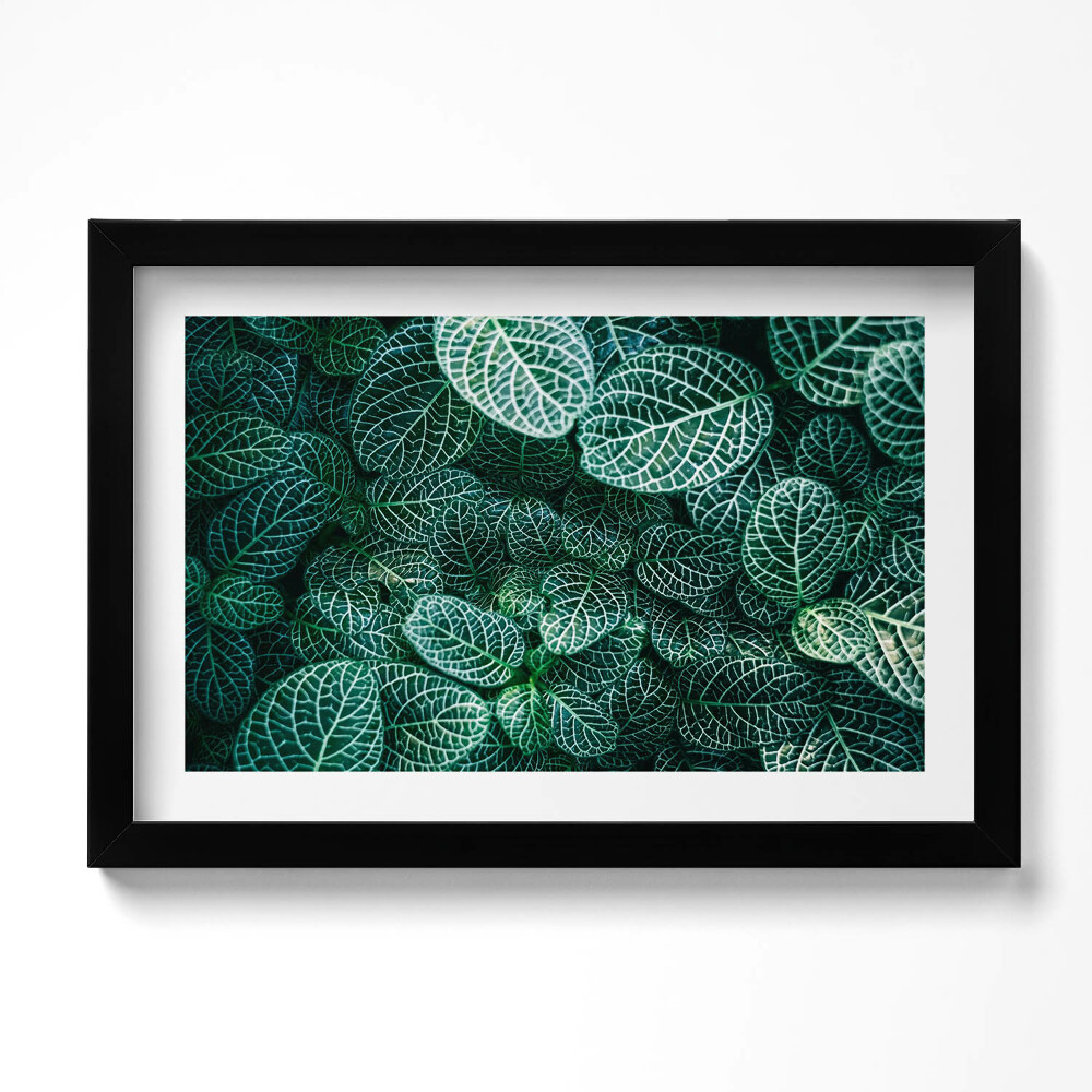 Obraz s rámem dekorativní Zelené divoké listy