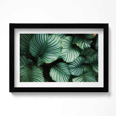 Obraz s rámem dekorativní Velké zelené listy