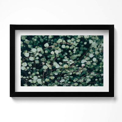 Obraz s rámem dekorativní Drobné listy rostliny