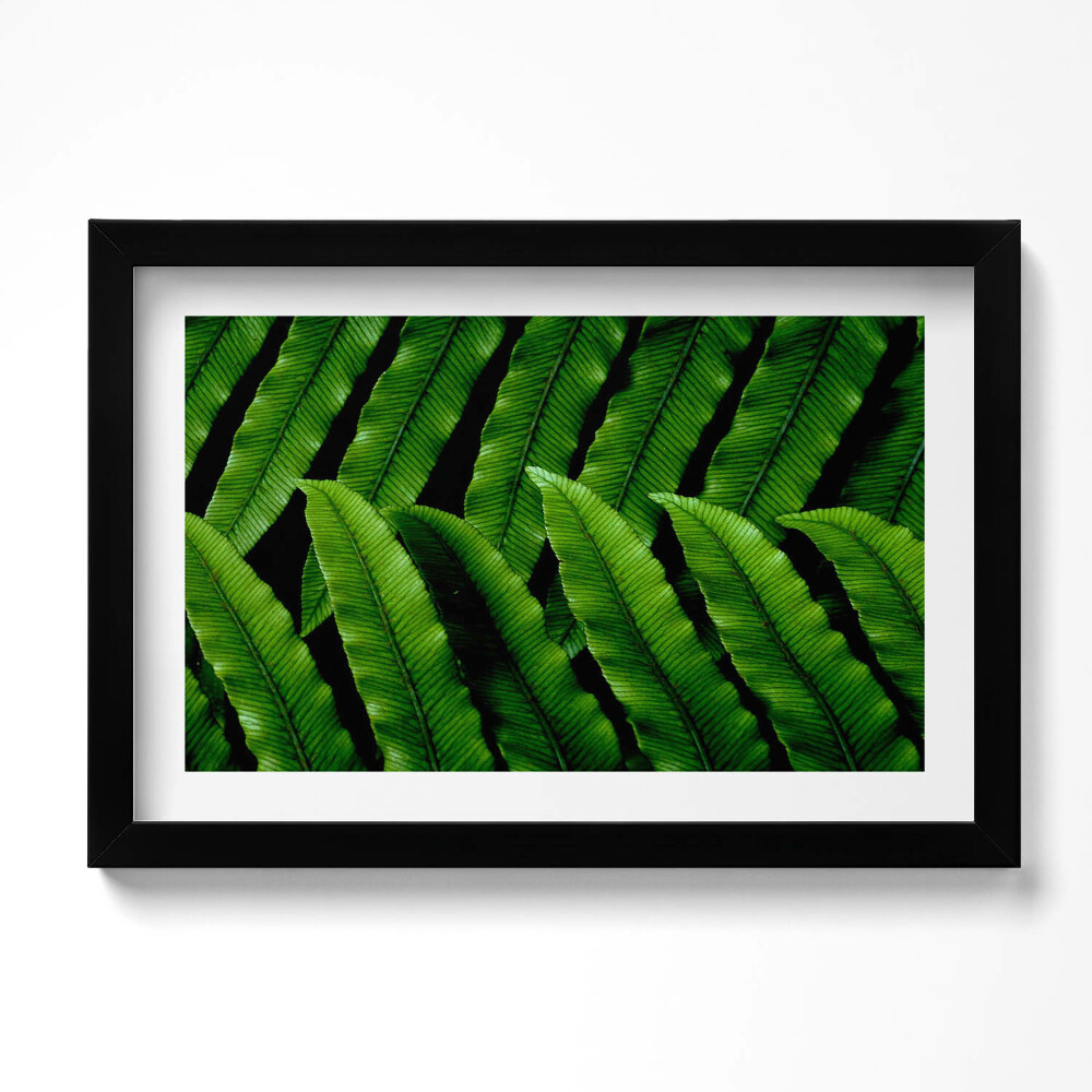 Obraz s rámem dekorativní Detailní záběr na zelené listy