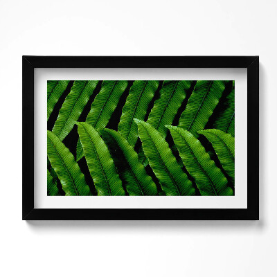 Obraz s rámem dekorativní Detailní záběr na zelené listy